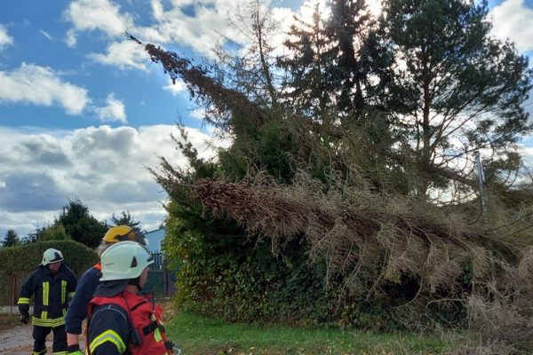 Sturm „Ignatz“ – Einsatz 2