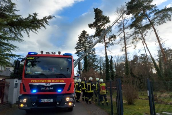 Baum droht umzustürzen