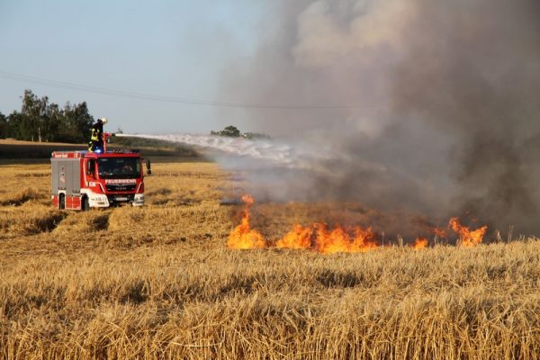 Feuerwehr-Großeinsatz bei Feldbrand